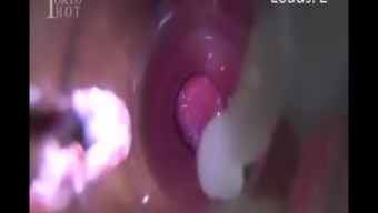 Funnel And Creampie Insemination Compilation 2