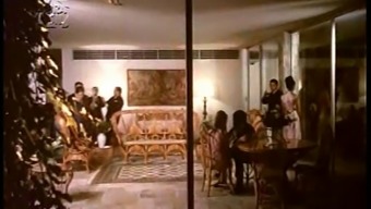Os Bons Tempos Voltaram - Brazilian Vintage