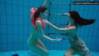 Bubarek And Birtakik Enjoy Eachother In The Pool