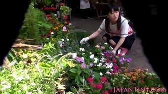 Petite Japanese Florist Pussyfucked In Store
