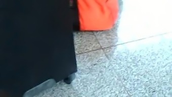 China Tits
