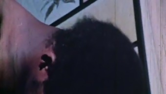 Virgin Honeymoon