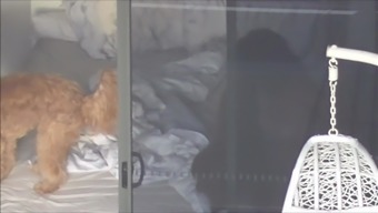 Hotel Window 188