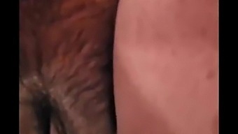 Namrata Mms Leaked