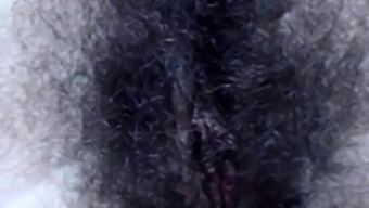 Fantastic Bush 1