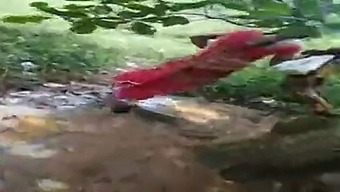 Telugu Aunty Fucks For Money Outdoors