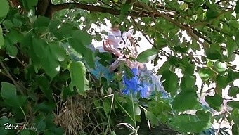 Couple Caught Having Sex In A Public Park - Wet Kelly